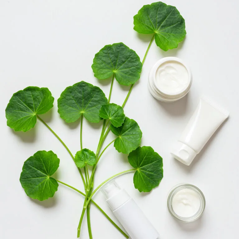 Centella Asiatica