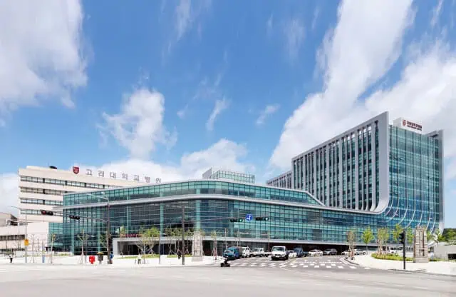 PART 2 : 5 Specialized Fields Showcasing Advanced Healthcare in Korea: From Cancer Care to K-Beauty